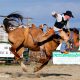 Action Photography Tip Tricks Photo Instructor digital Imaging Guru